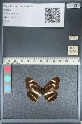 Media type: image;   Entomology 161980